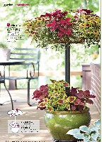 Better Homes And Gardens 2011 05, page 126